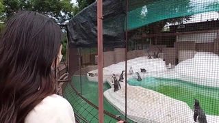 には言えない… 義父に犯●れ続けていることを…。 白花こう